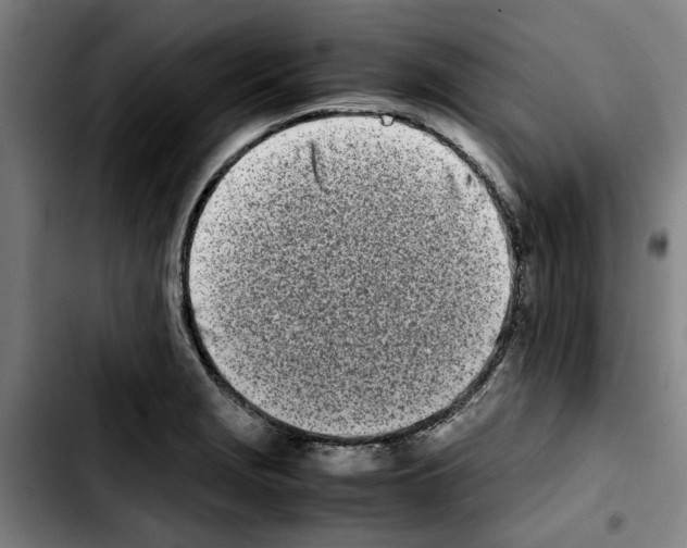 X0000103431229200810241050