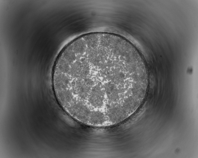 X0000103431230200810241050