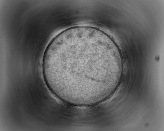 X0000103431231200810241050