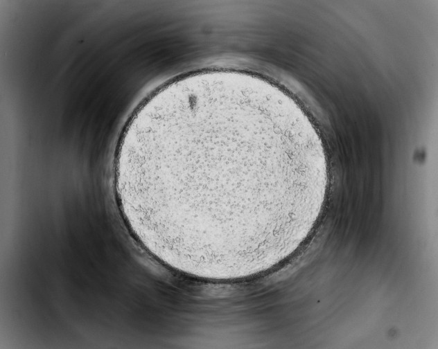 X0000103431232200810241050
