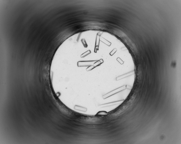 X0000103431233200810241050