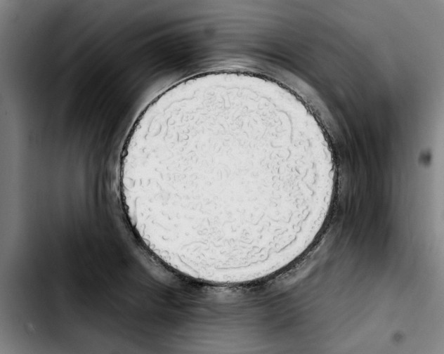 X0000103431234200810241050