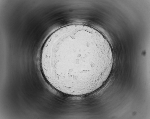 X0000103431235200810241050
