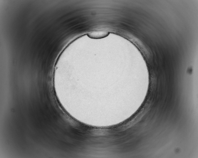 X0000103431236200810241050