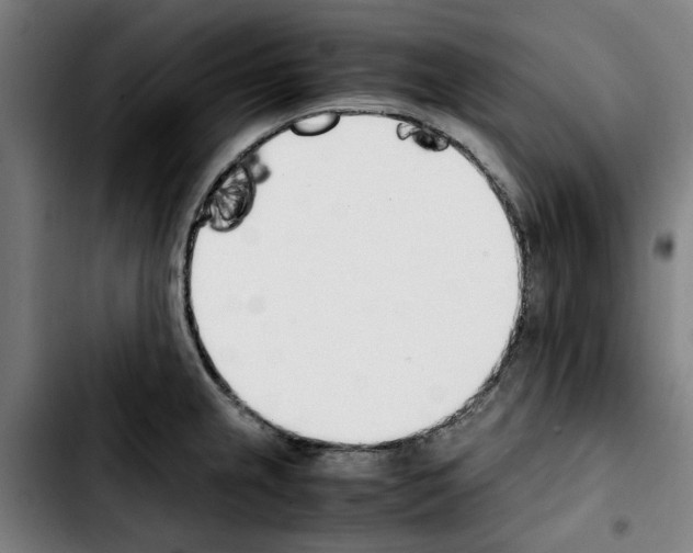 X0000103431237200810241050
