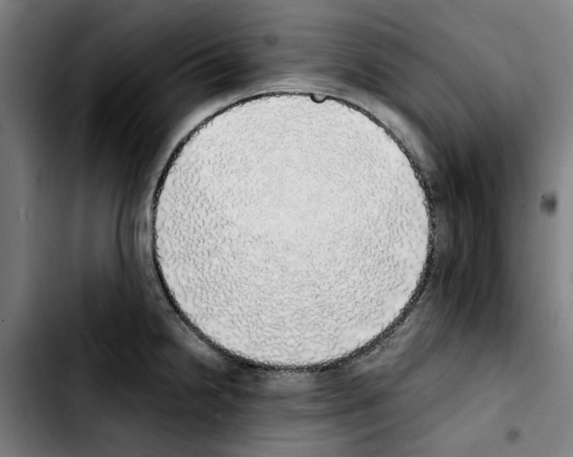 X0000103431238200810241050