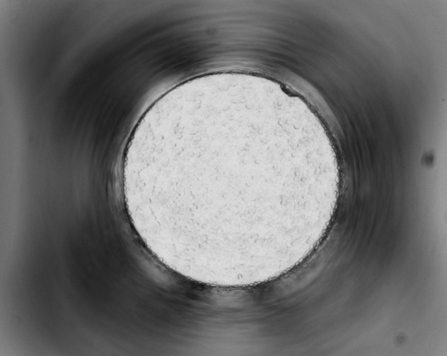 X0000103431242200810241051