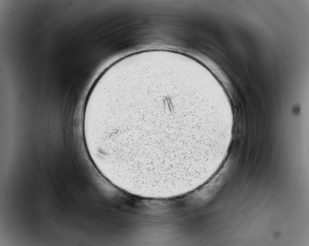 X0000103431246200810241051
