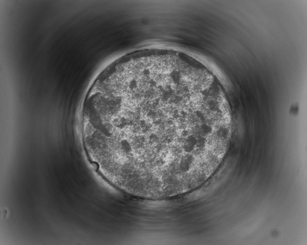 X0000103431247200810241051