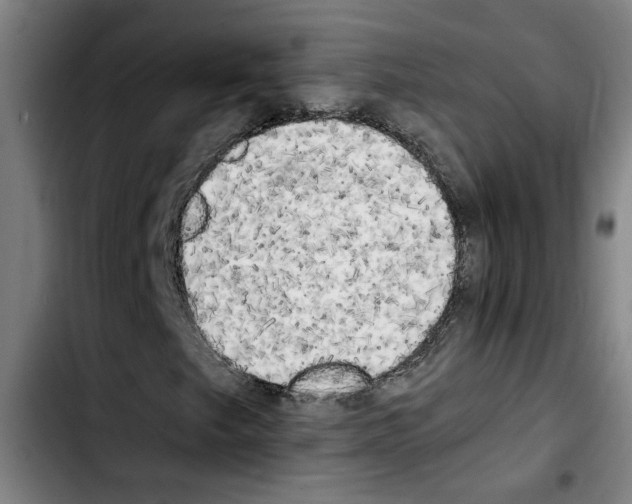 X0000103431249200810241050