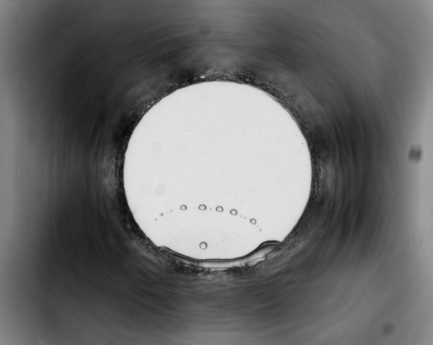 X0000103431250200810241050