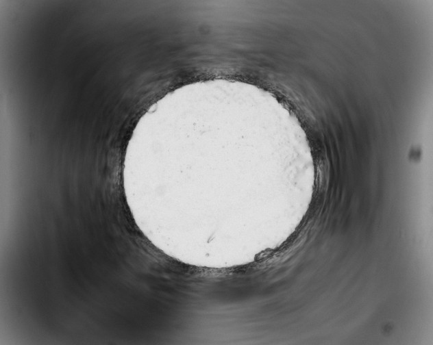 X0000103431251200810241050