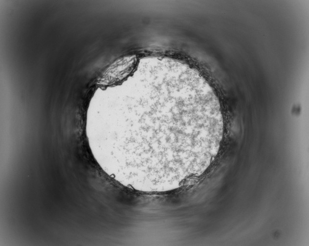 X0000103431253200810241050