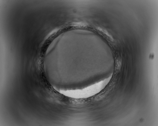 X0000103431254200810241050
