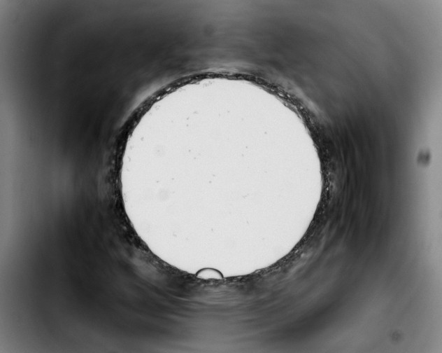 X0000103431256200810241050