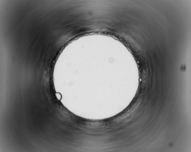 X0000103431257200810241050