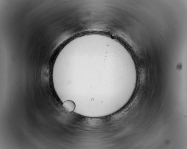 X0000103431258200810241050