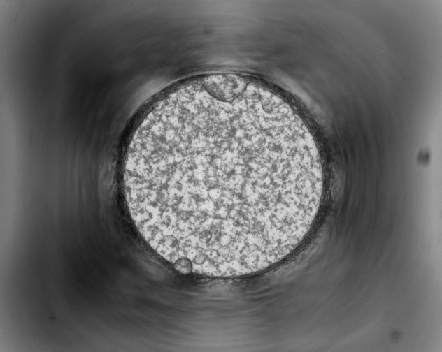X0000103431259200810241050