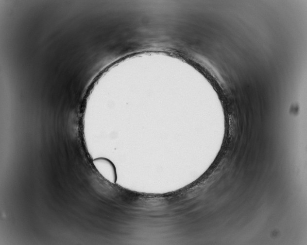 X0000103431260200810241050