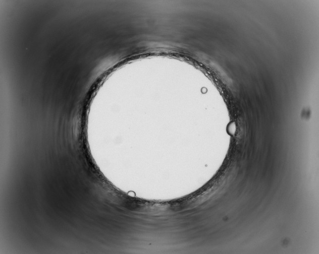 X0000103431261200810241050