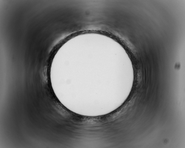 X0000103431262200810241050