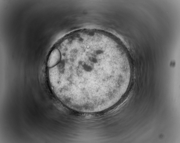 X0000103431263200810241050