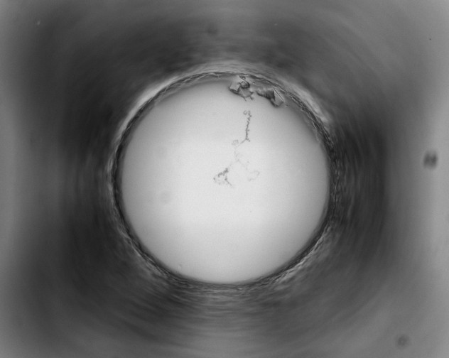 X0000103431264200810241050