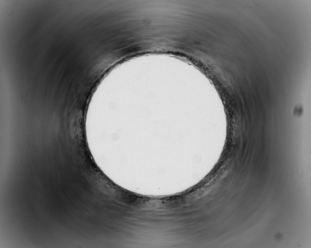 X0000103431265200810241050
