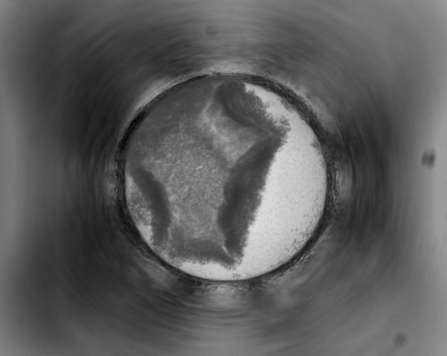 X0000103431266200810241050