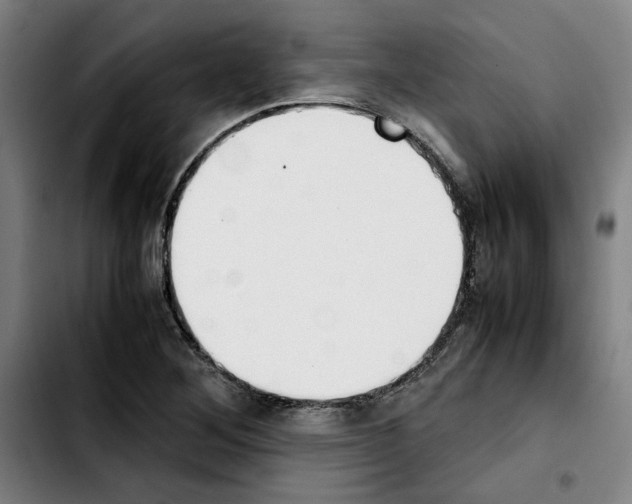 X0000103431268200810241050
