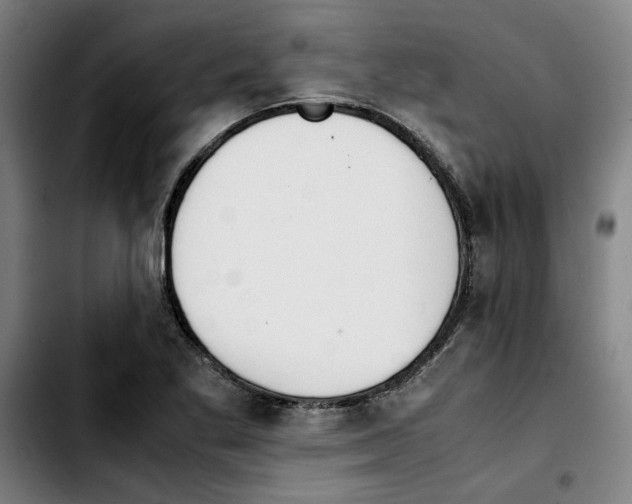 X0000103431269200810241050