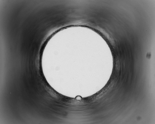 X0000103431270200810241050
