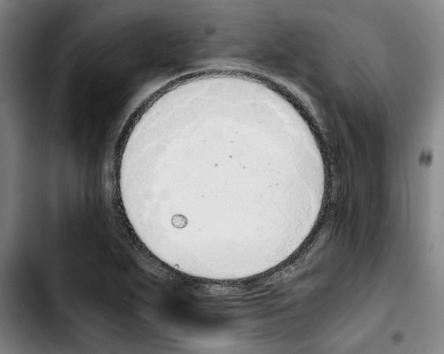 X0000103431271200810241050