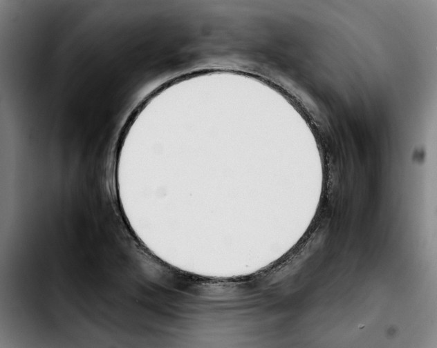 X0000103431272200810241050