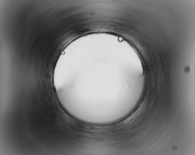 X0000103431273200810241050