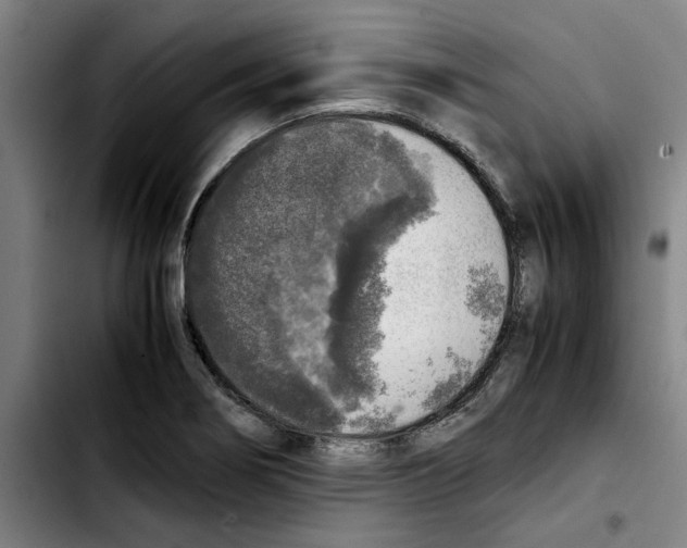 X0000103431274200810241050