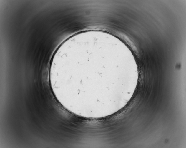 X0000103431276200810241050