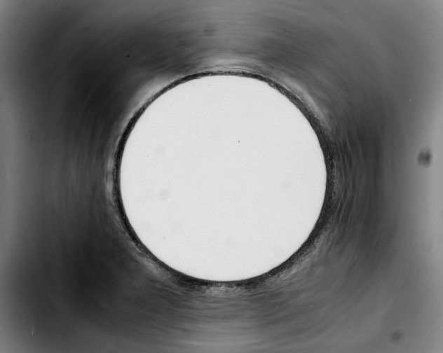 X0000103431277200810241050