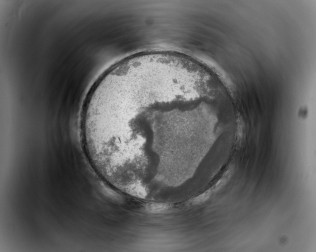X0000103431278200810241050