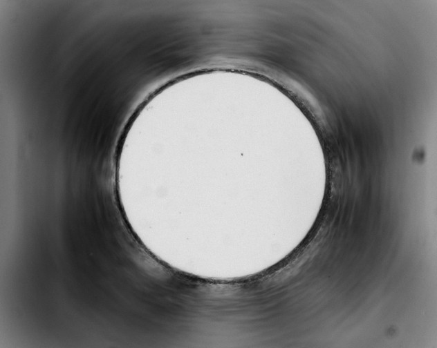 X0000103431280200810241050