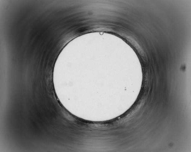 X0000103431281200810241049