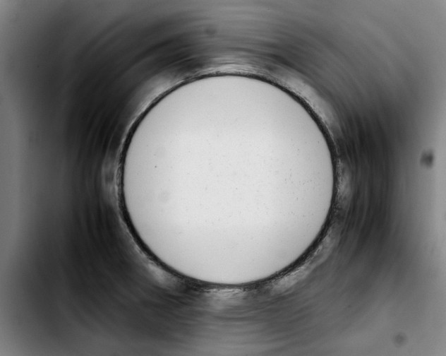 X0000103431282200810241049