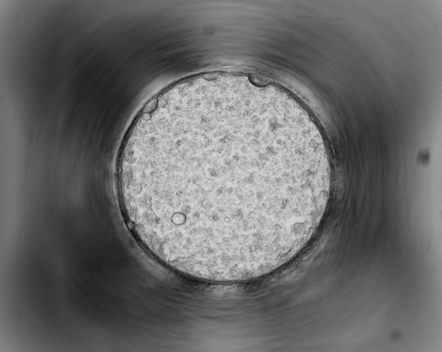 X0000103431283200810241049