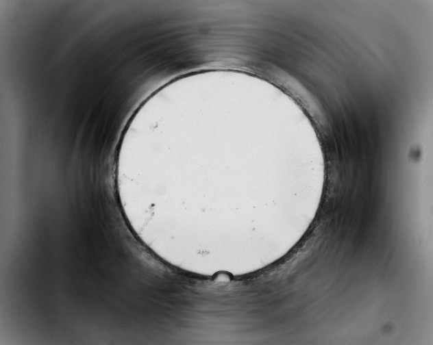 X0000103431284200810241049
