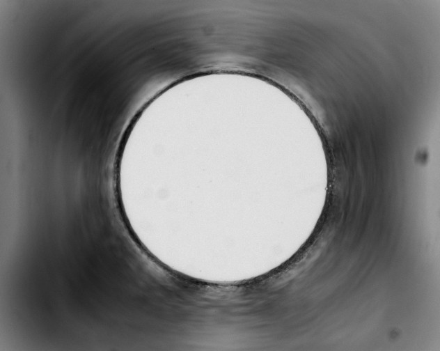 X0000103431285200810241049