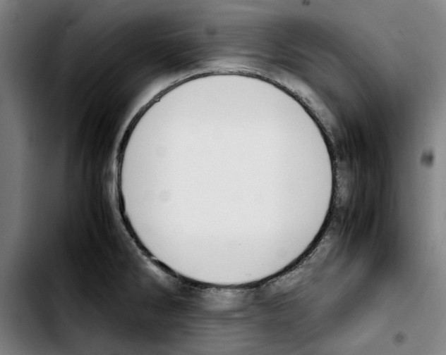 X0000103431286200810241049