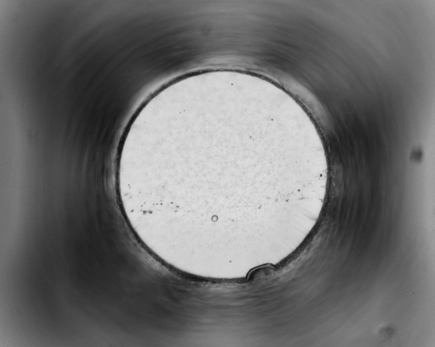 X0000103431288200810241049