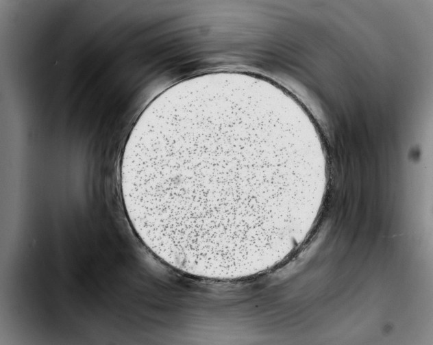 X0000103431289200810241049