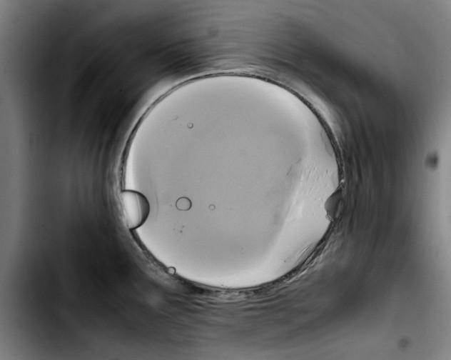 X0000103431291200810241049
