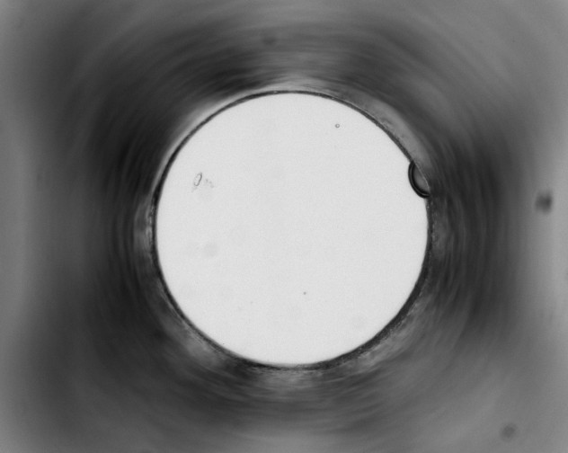 X0000103431292200810241049